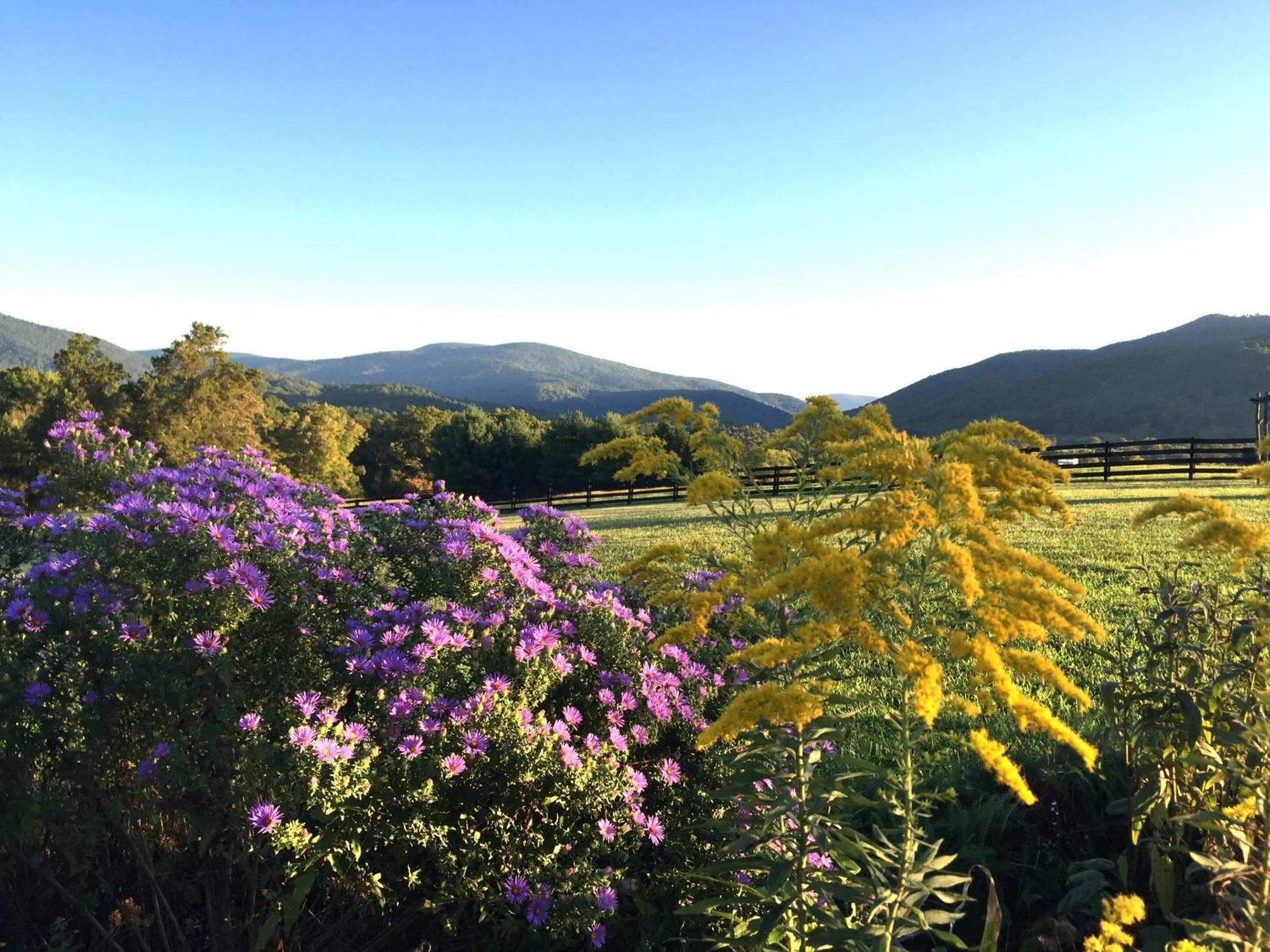 Montfair Resort Farm Crozet Quarto foto