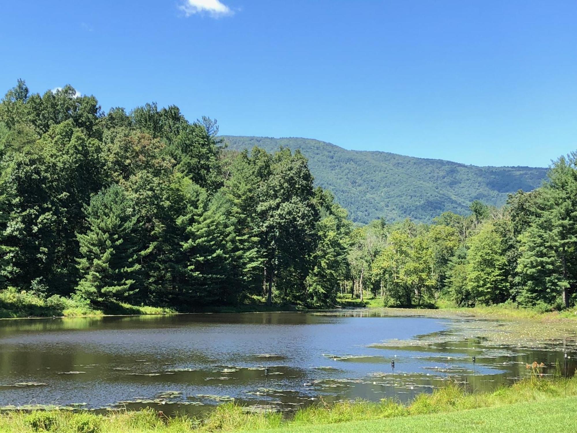 Montfair Resort Farm Crozet Quarto foto