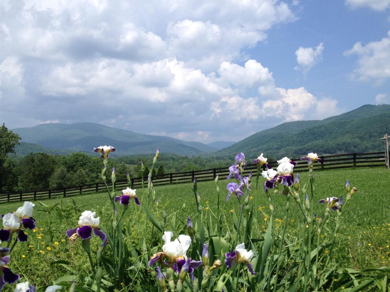 Montfair Resort Farm Crozet Quarto foto