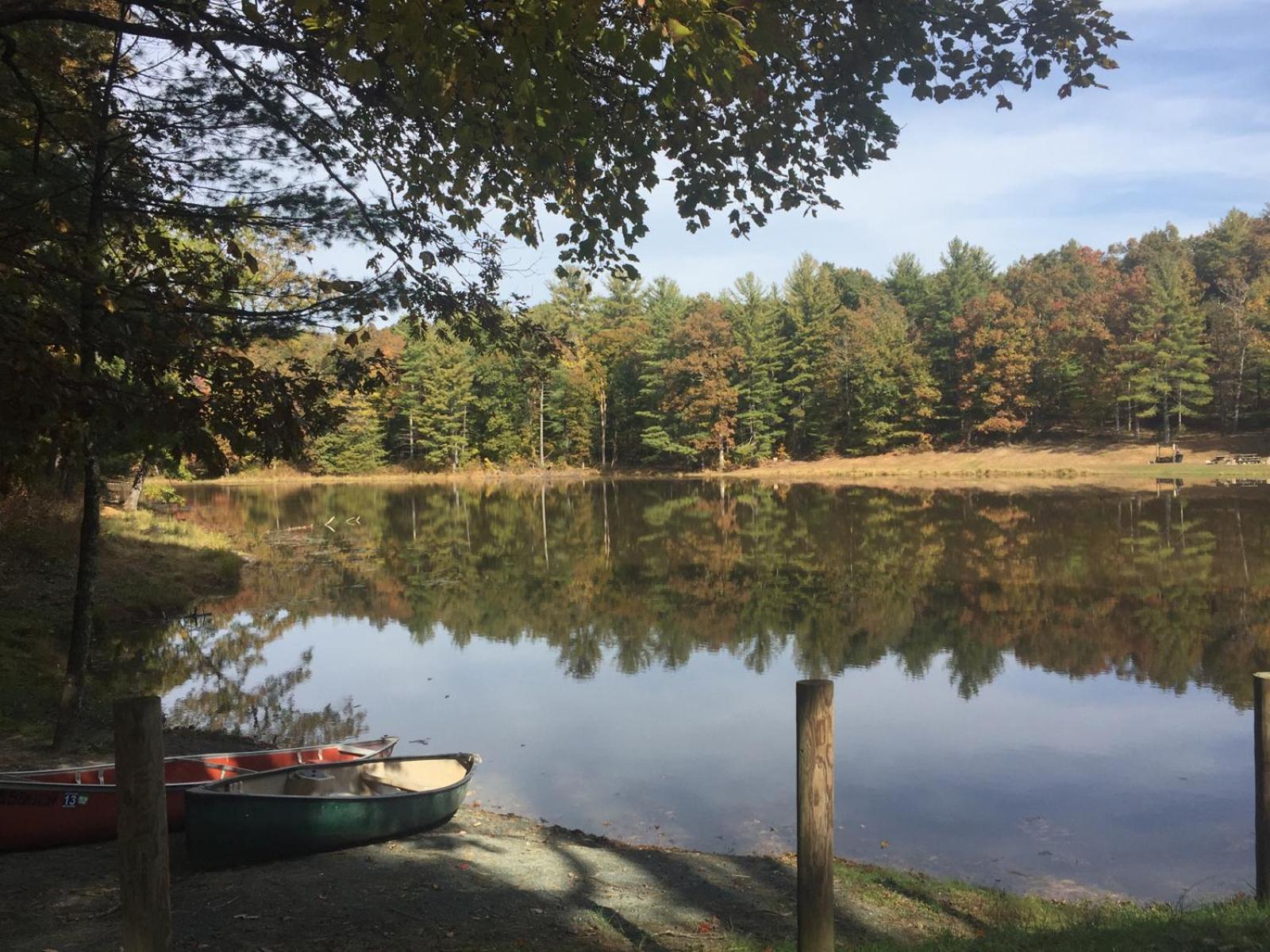 Montfair Resort Farm Crozet Quarto foto