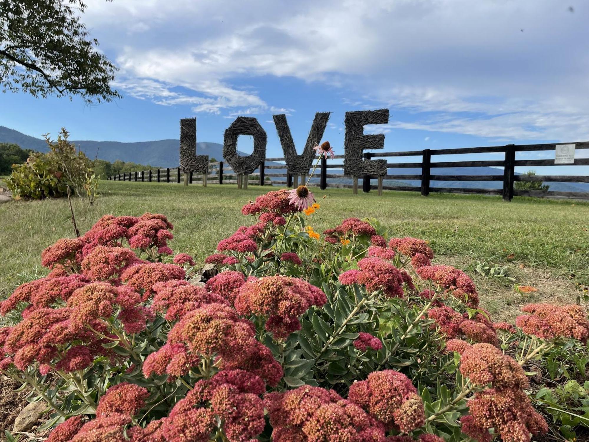 Montfair Resort Farm Crozet Quarto foto